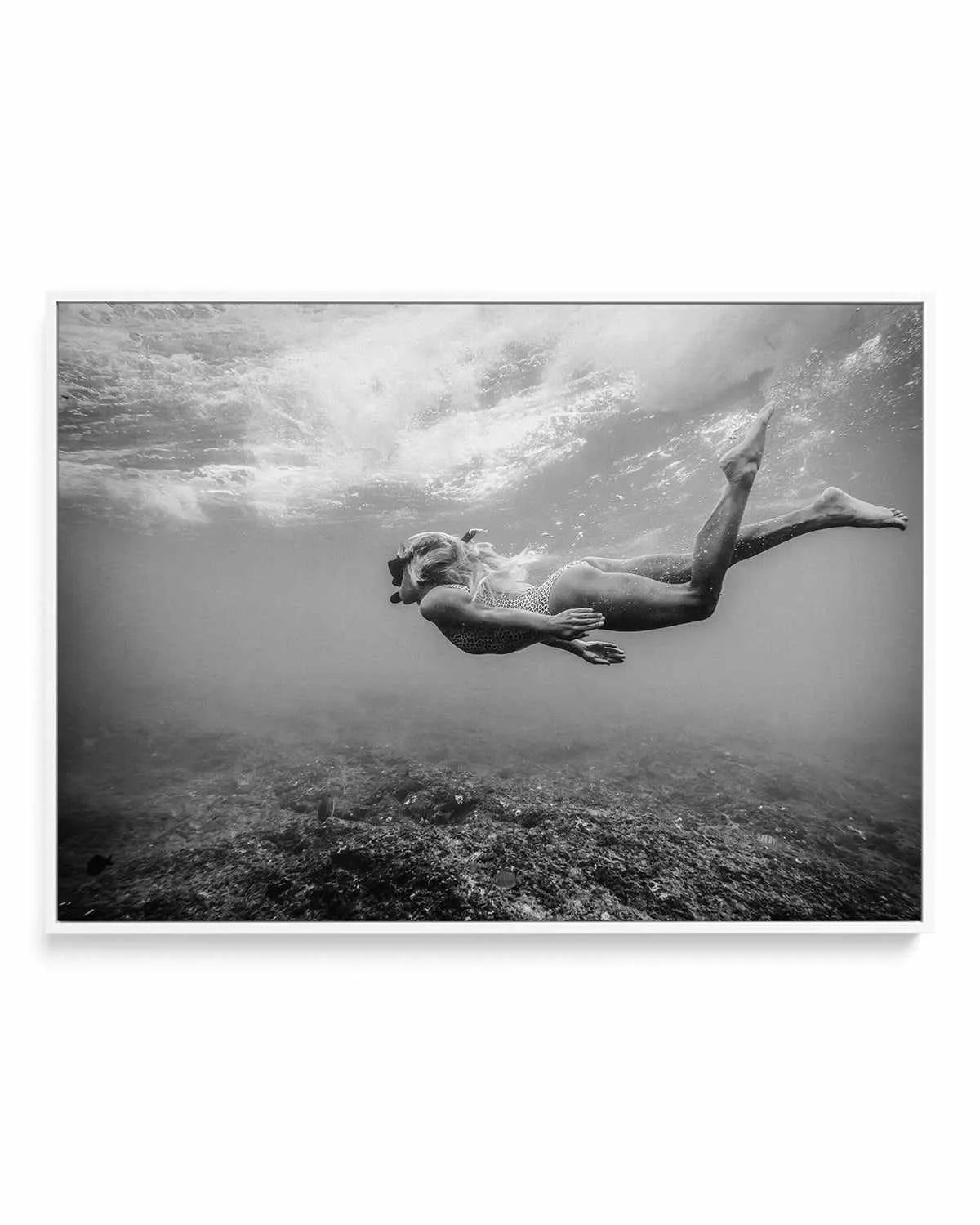 Reef Snorkel | Framed Canvas Art Print from Olive et Oriel where you can shop wallpaper and artworks online