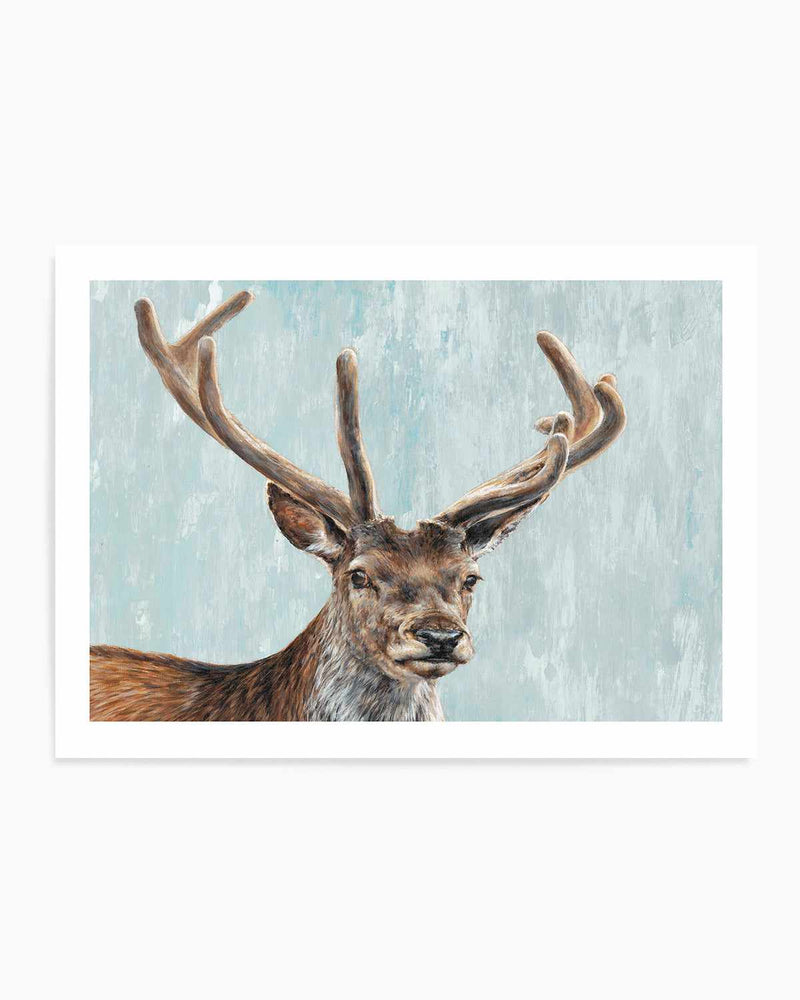 Reindeer Art Print