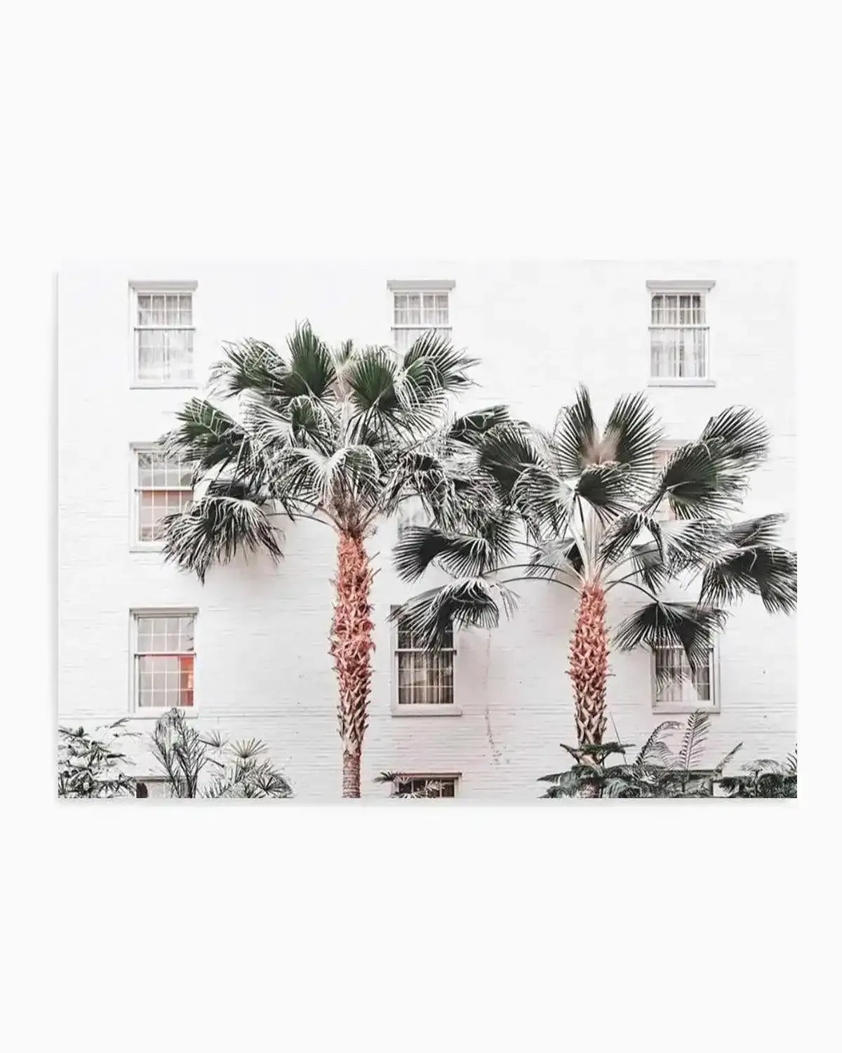 Resort de Palmas Art Print from Olive et Oriel where you can shop wallpaper and artworks online
