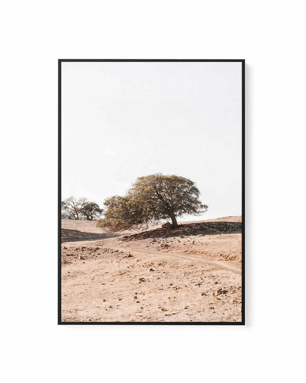 Rest Stop PT by Caleb Morris | Framed Canvas Art Print from Olive et Oriel where you can shop wallpaper and artworks online