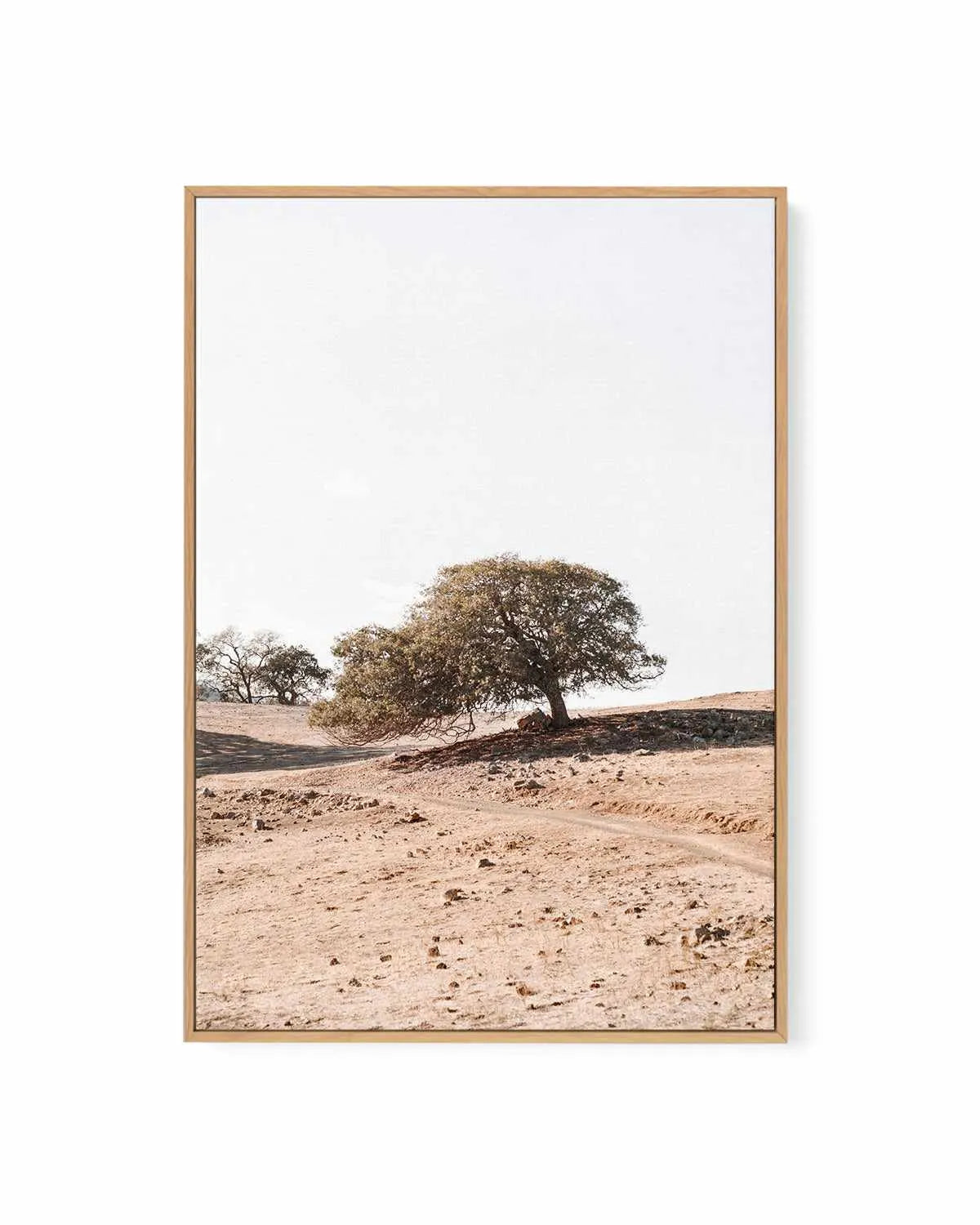 Rest Stop PT by Caleb Morris | Framed Canvas Art Print from Olive et Oriel where you can shop wallpaper and artworks online