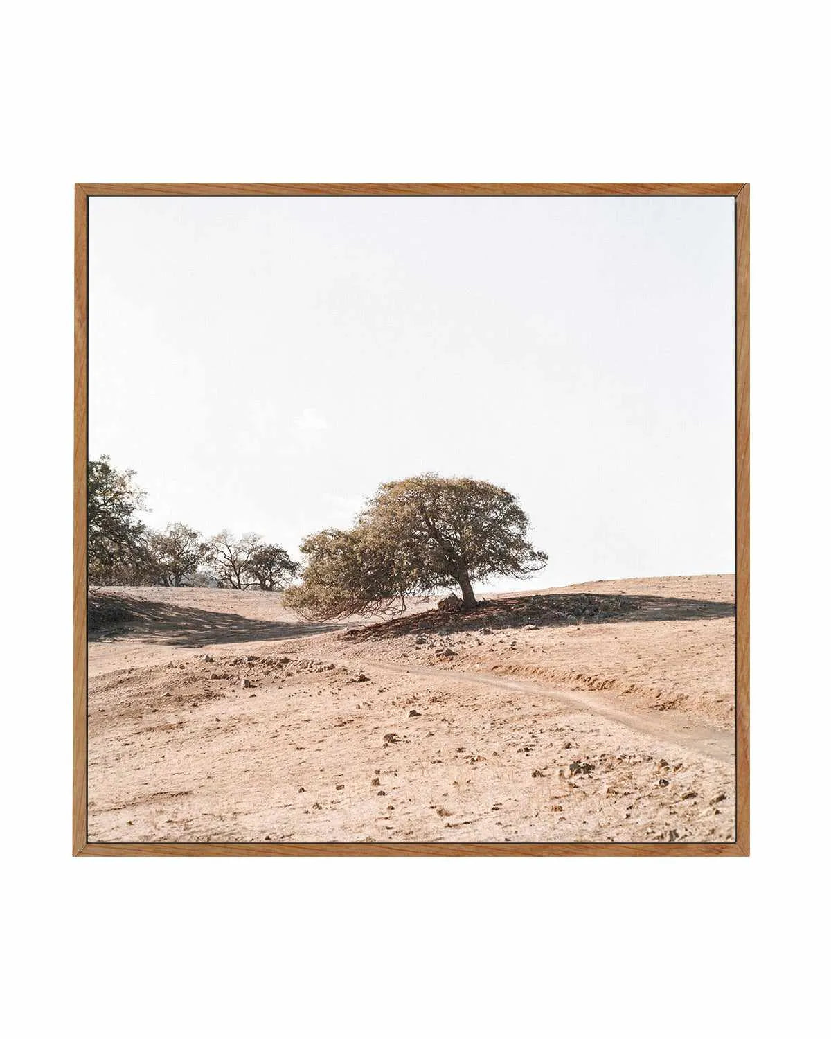 Rest Stop SQ by Caleb Morris | Framed Canvas Art Print from Olive et Oriel where you can shop wallpaper and artworks online