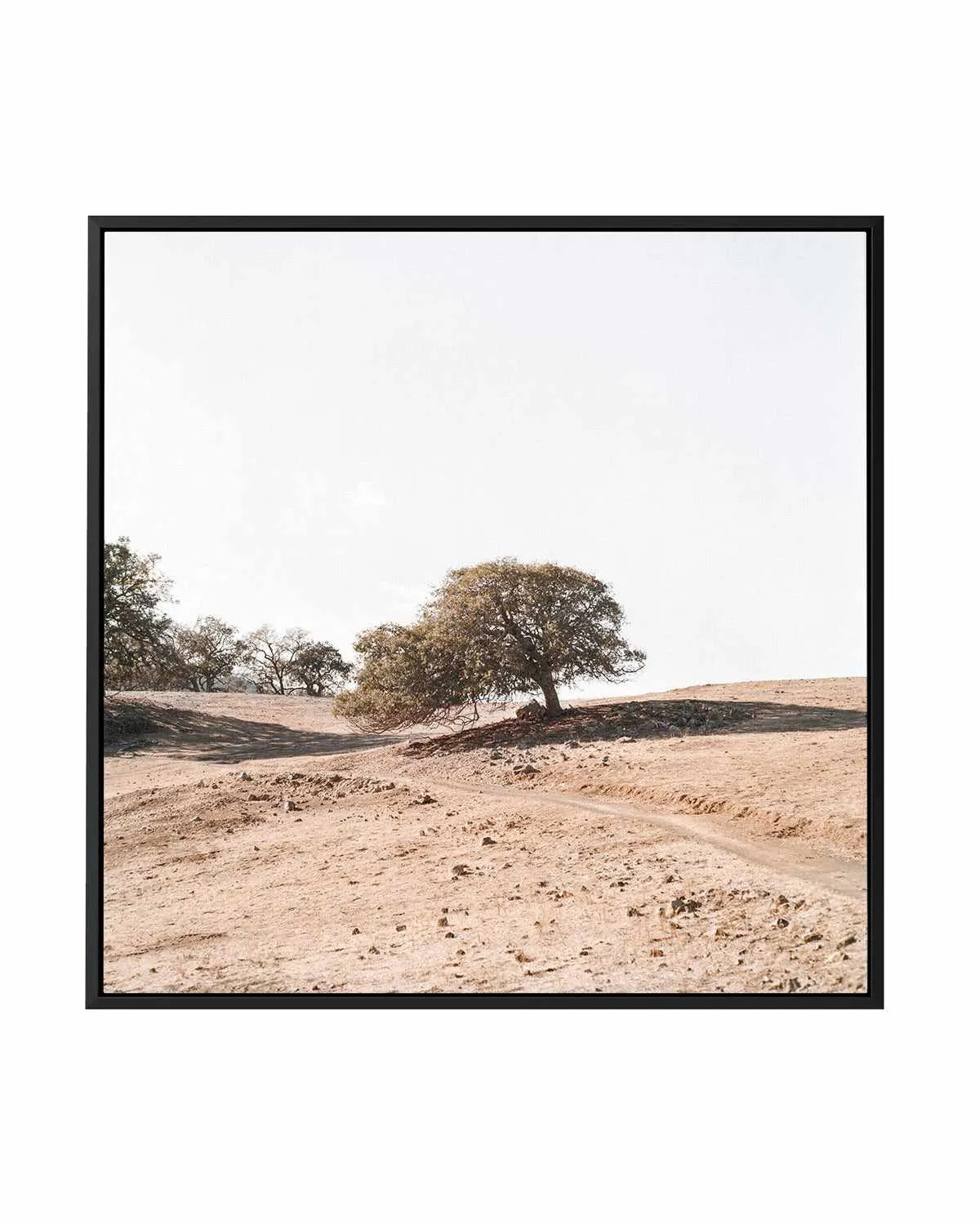 Rest Stop SQ by Caleb Morris | Framed Canvas Art Print from Olive et Oriel where you can shop wallpaper and artworks online