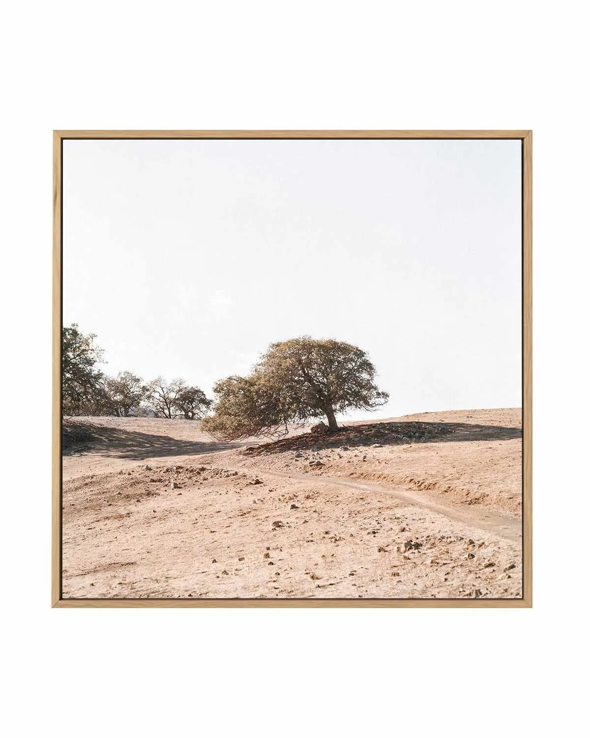 Rest Stop SQ by Caleb Morris | Framed Canvas Art Print from Olive et Oriel where you can shop wallpaper and artworks online