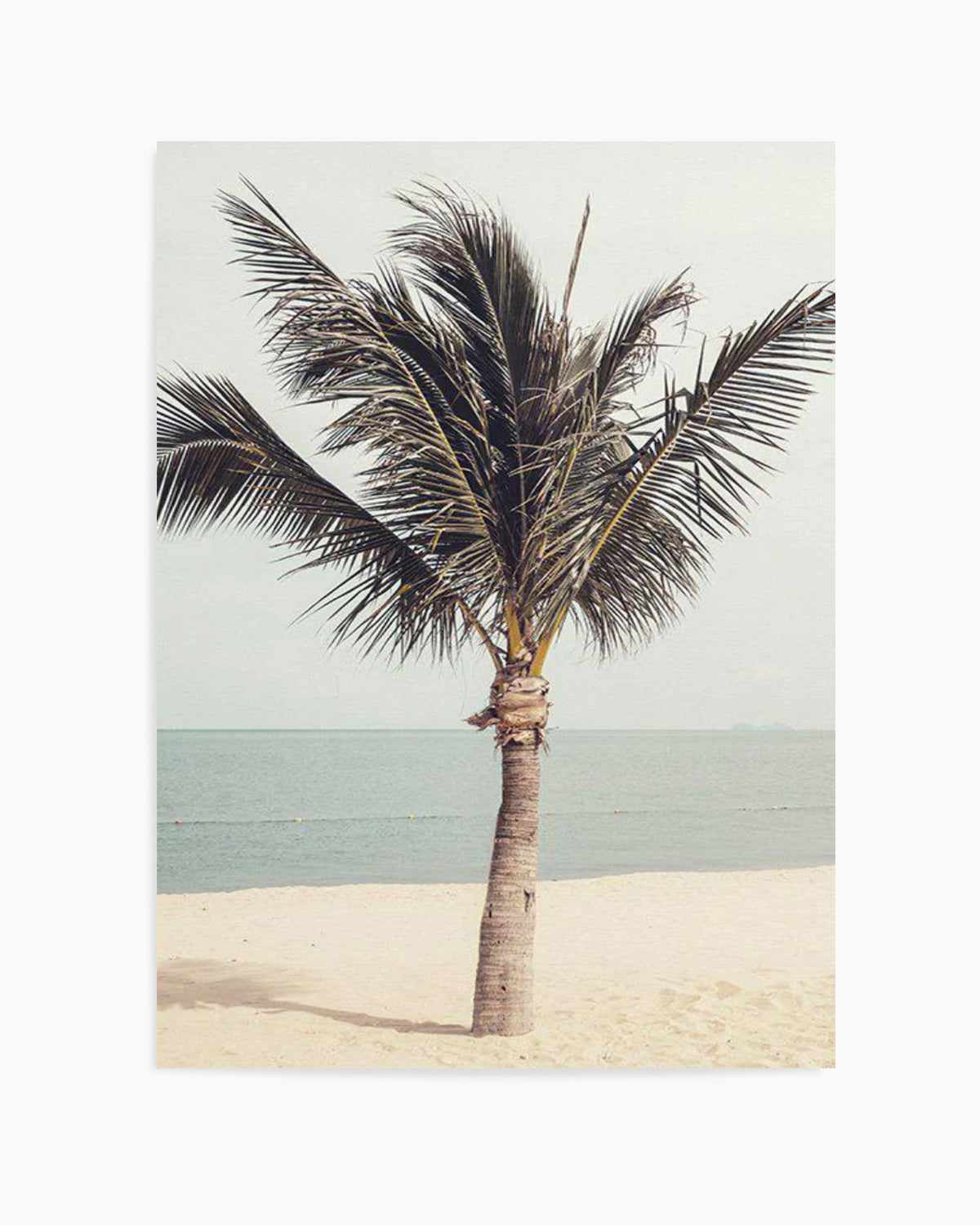 Retro Palm Art Print