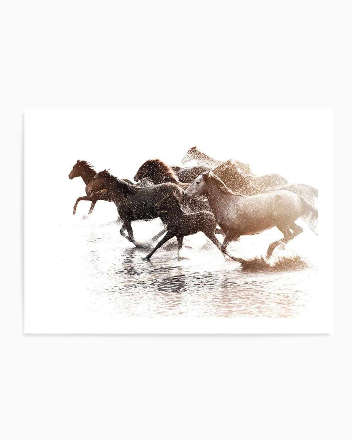 Riviere Stallions Art Print