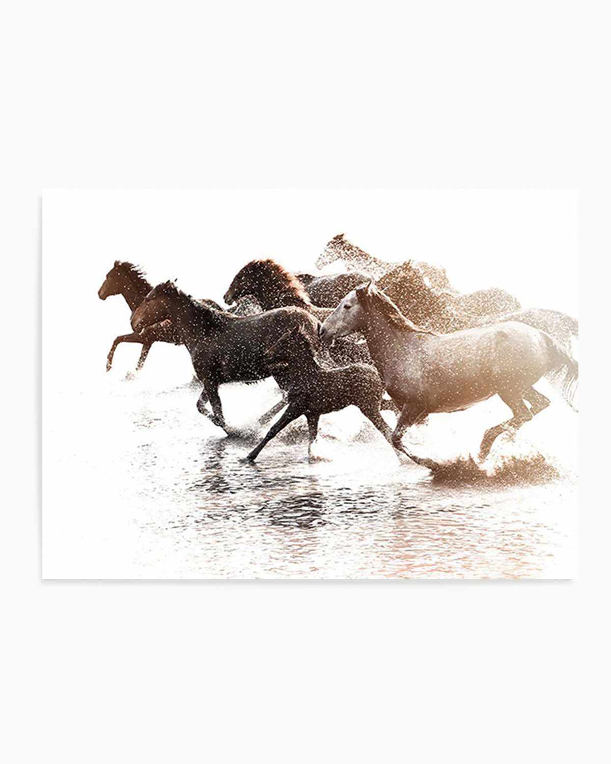 Riviere Stallions Art Print