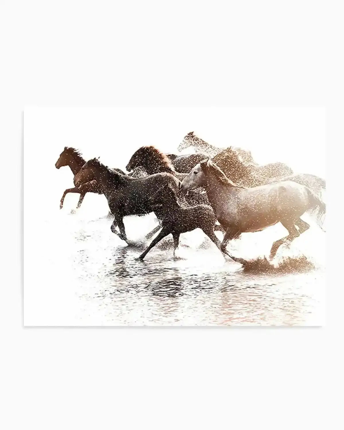 Riviere Stallions Art Print from Olive et Oriel where you can shop wallpaper and artworks online