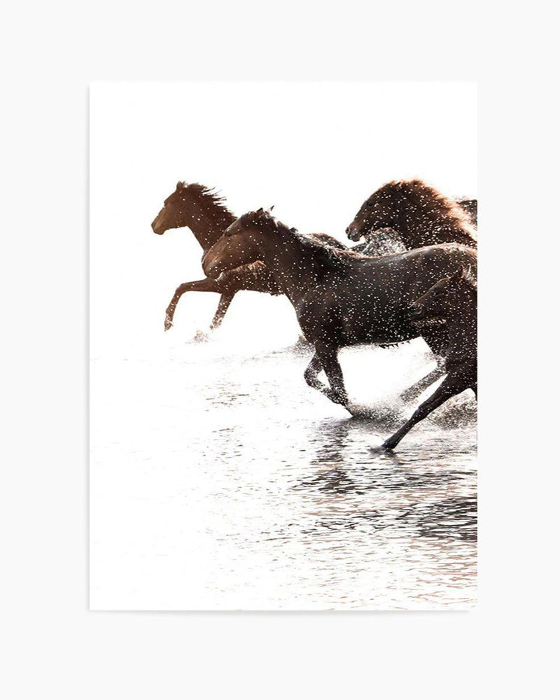Riviere Stallions | Left