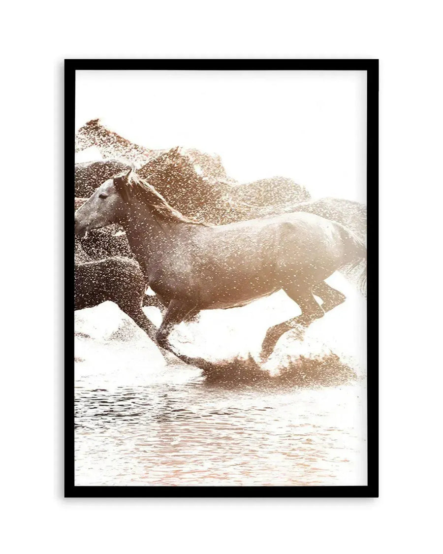 Framed photography art print featuring a herd of wild horses galloping through shallow water, kicking up sparkling spray in golden sunlight. The composition captures a dynamic moment with a lead horse in the foreground, its mane and tail flowing, and other horses partially visible behind it. The water reflects the warm light, creating a soft, ethereal glow. The print is displayed in a black frame with a white border.