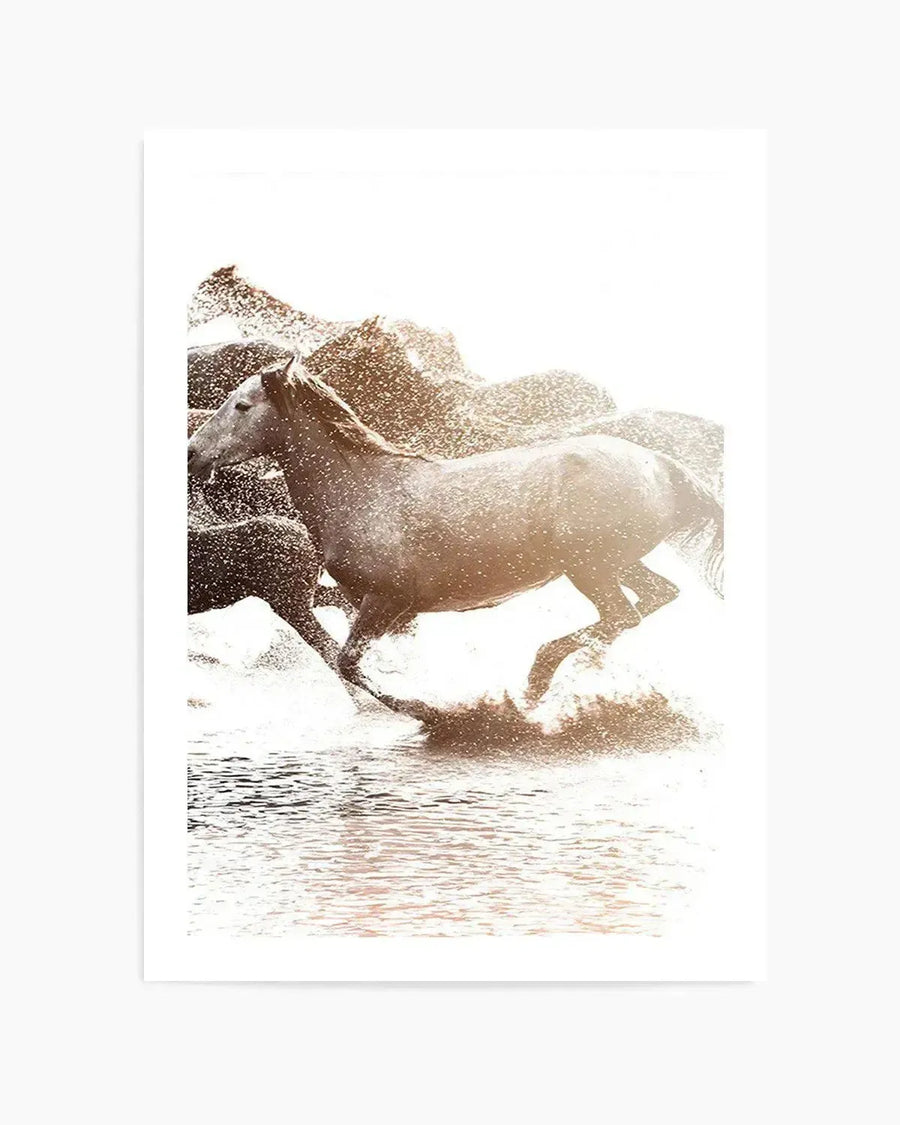 Photography art print featuring a herd of wild horses galloping through shallow water, kicking up splashes and creating a dynamic scene. The horses are depicted in shades of brown and grey, with sunlight catching the water droplets and creating a warm, ethereal glow. The composition captures the powerful movement of the lead horse in profile, with other horses partially visible in the background, all against a bright, almost white background.