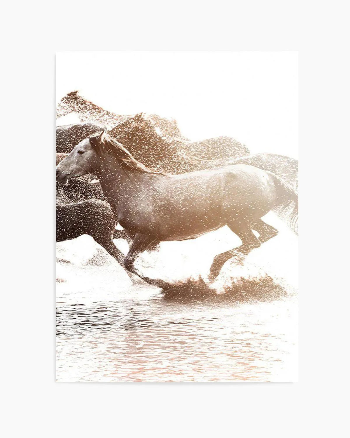 Riviere Stallions | Right from Olive et Oriel where you can shop wallpaper and artworks online
