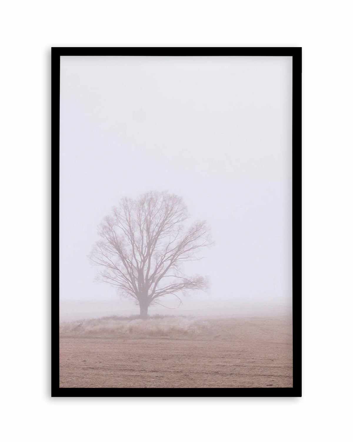 Rolling Mist Art Print