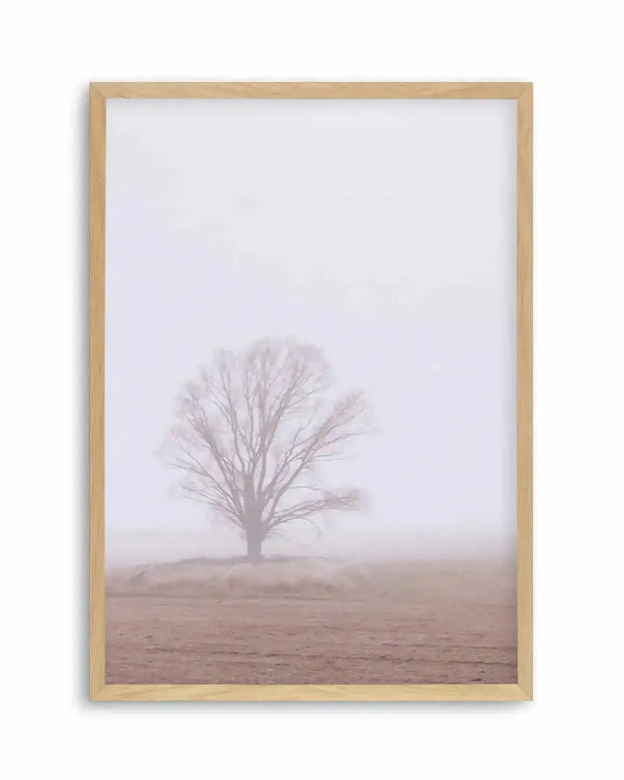 Framed photography art print of a solitary tree in a misty field, with a natural wood frame and white border. The composition features a bare-branched tree in the center, partially obscured by a soft, ethereal mist that covers the field in muted tones of brown and grey.