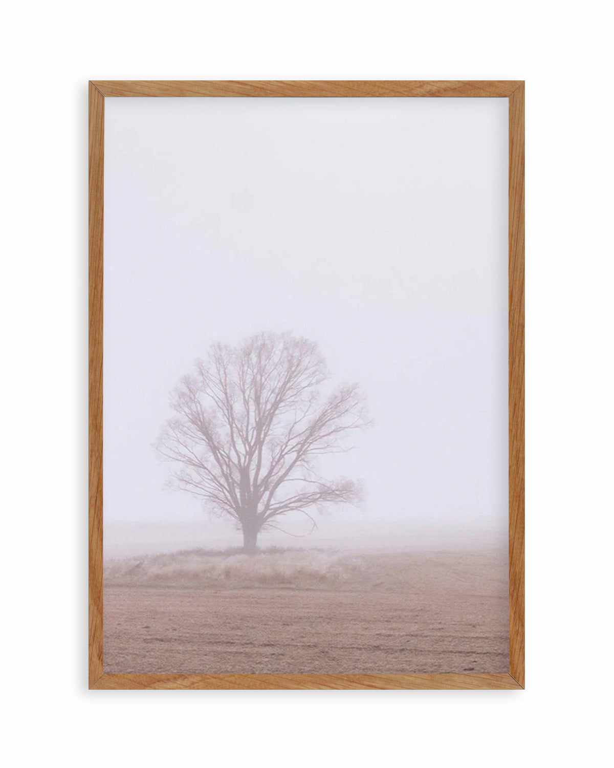 Rolling Mist Art Print