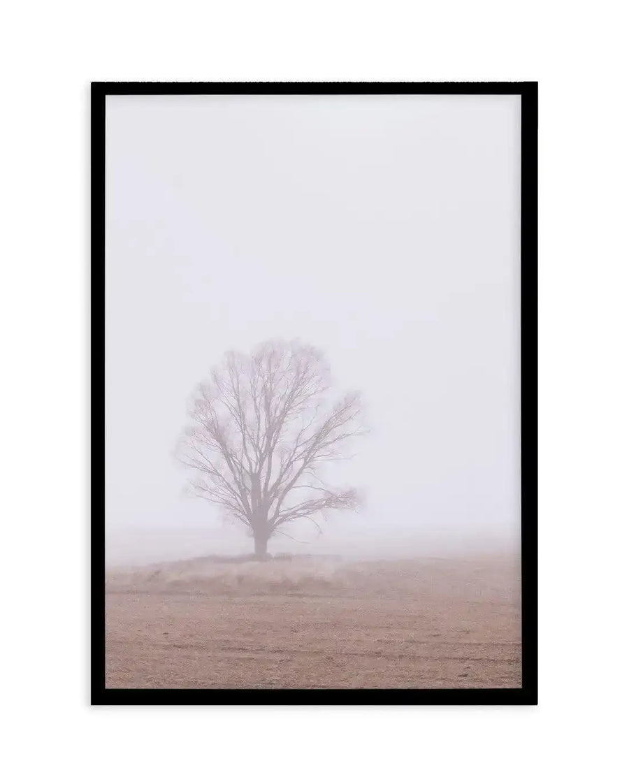 Framed photograph of a lone, bare tree in a field on a foggy day, with a black frame and white border. The tree stands in the middle ground, its branches reaching upwards, partially obscured by the thick, pale grey mist that fills the upper two-thirds of the composition. The foreground features a field of dry, light brown grass and earth.