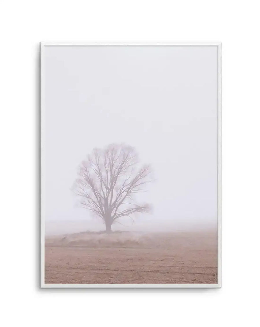 Framed photography art print of a solitary bare tree in a misty field, with a white frame and white border. The tree stands in the middle ground with a muted brown field in the foreground, all enveloped in a soft, pale grey mist that extends to the horizon.