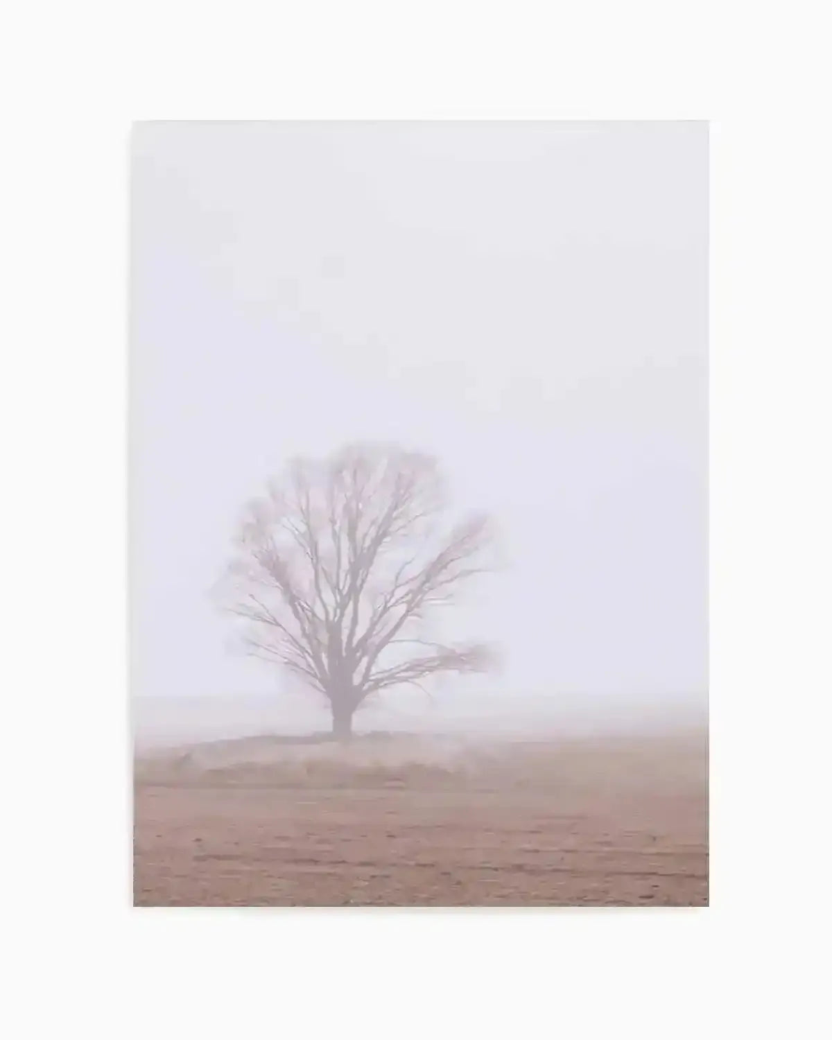 Rolling Mist Art Print from Olive et Oriel where you can shop wallpaper and artworks online