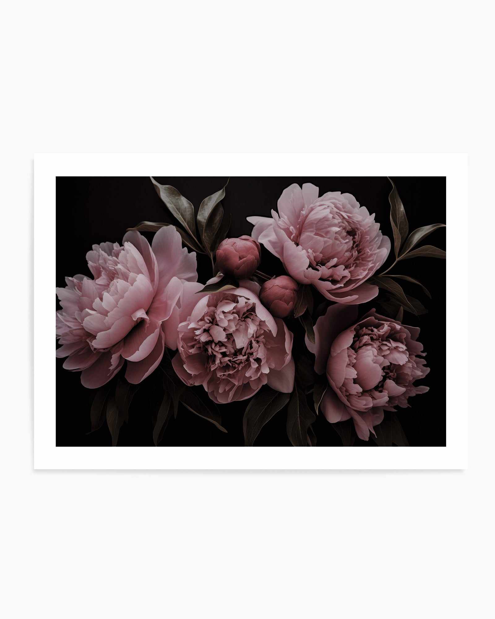 Romantic Dream Opulent Flowers By Andrea Haase | Art Print