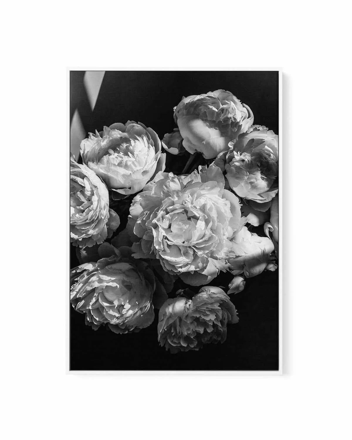 Roses I by Jovani Demetrie | Framed Canvas Art Print from Olive et Oriel where you can shop wallpaper and artworks online