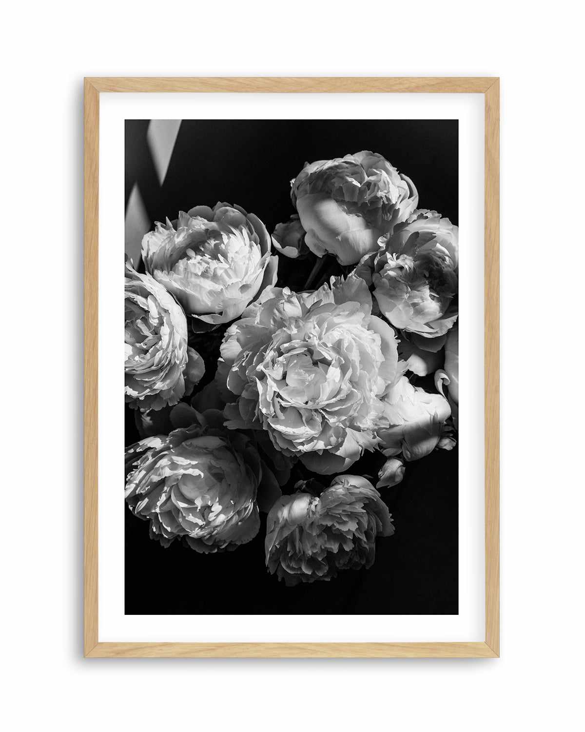 Roses I by Jovani Demetrie Art Print