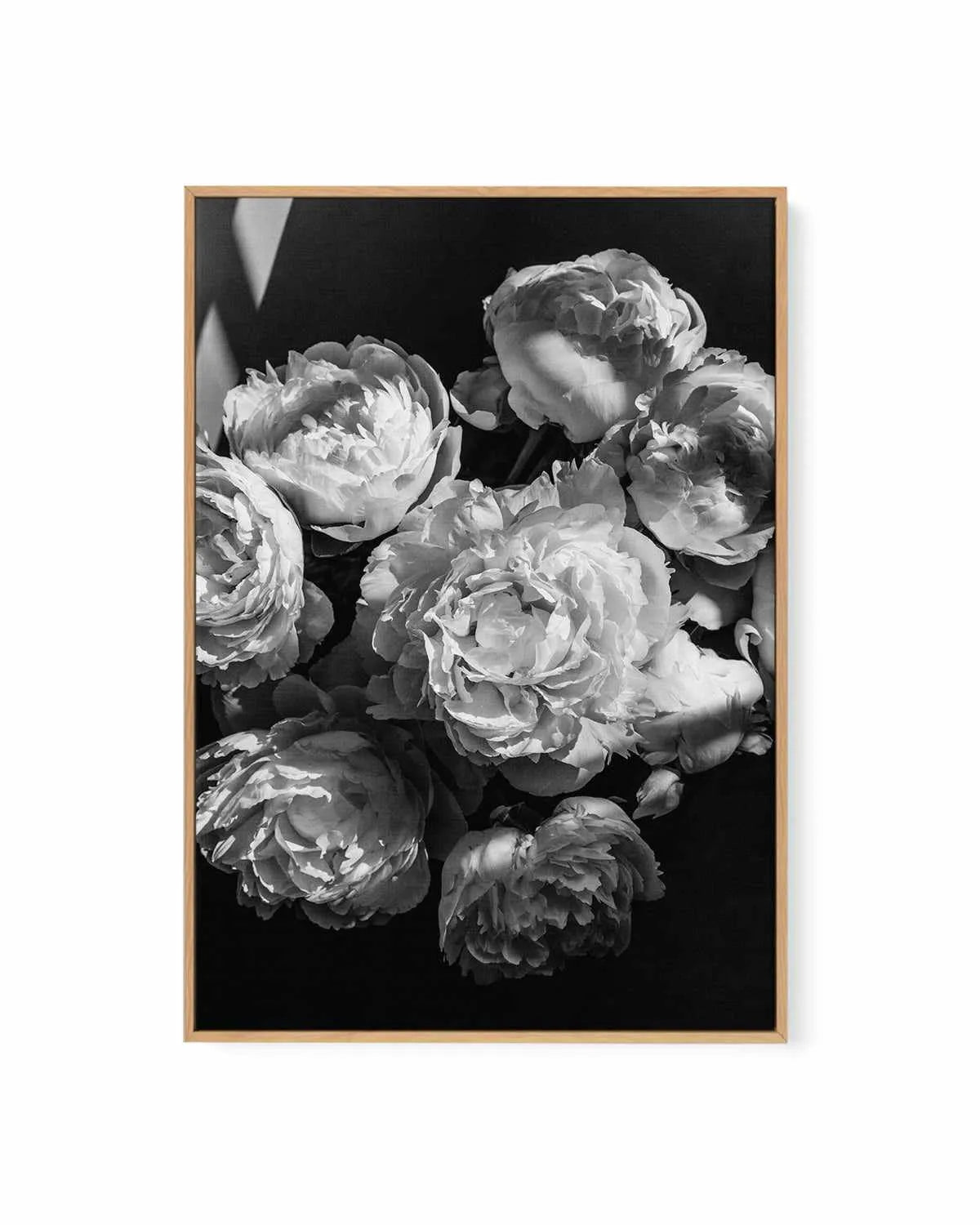 Roses I by Jovani Demetrie | Framed Canvas Art Print from Olive et Oriel where you can shop wallpaper and artworks online