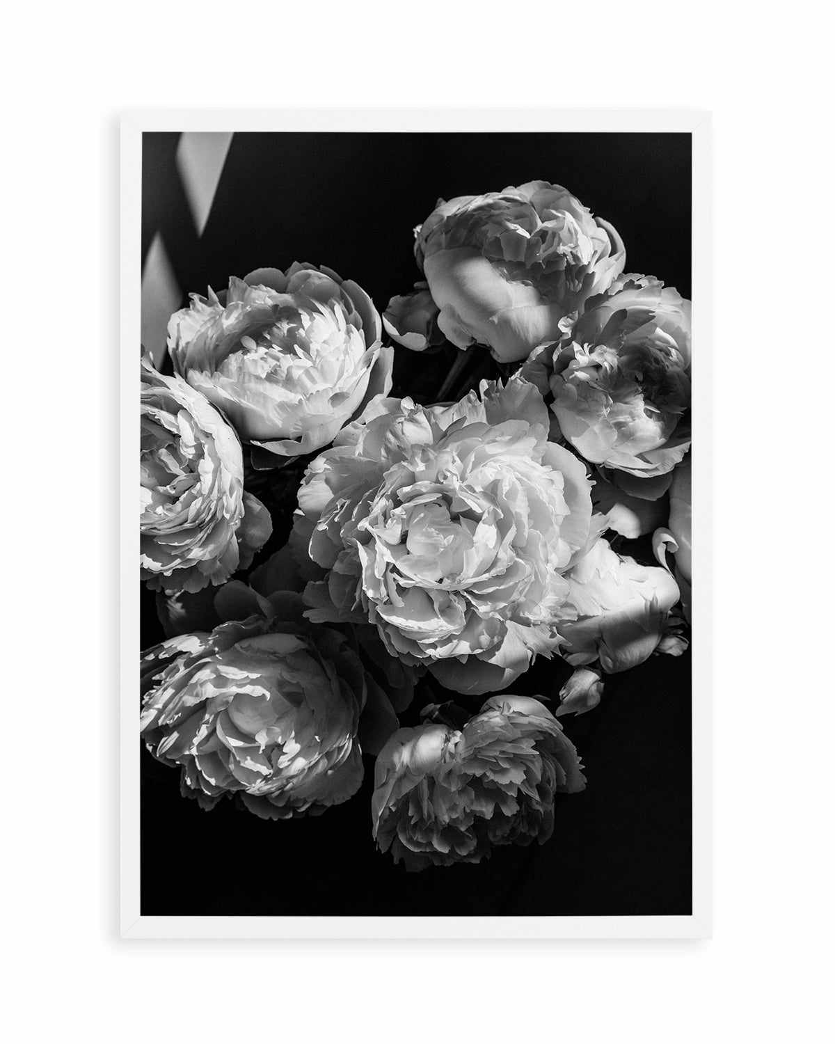 Roses I by Jovani Demetrie Art Print