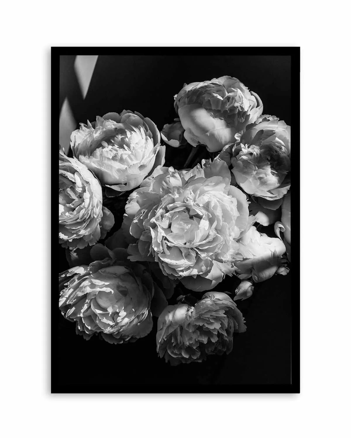 Roses I by Jovani Demetrie Art Print from Olive et Oriel where you can shop wallpaper and artworks online