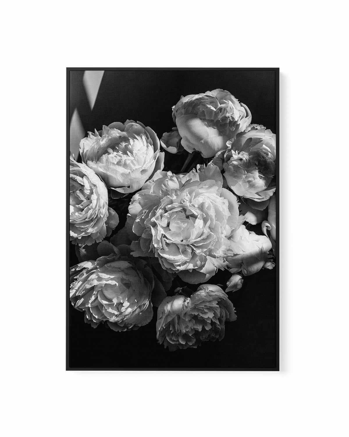 Roses I by Jovani Demetrie | Framed Canvas Art Print