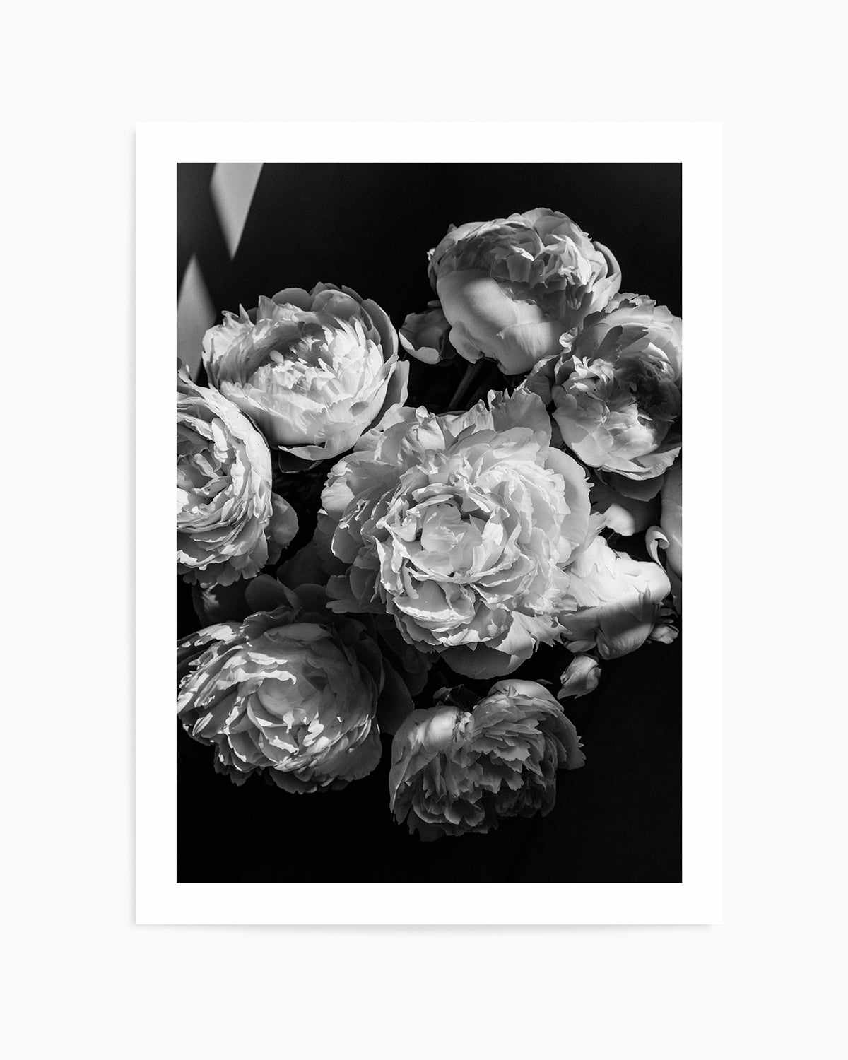 Roses I by Jovani Demetrie Art Print