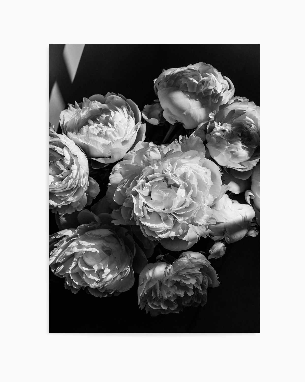 Roses I by Jovani Demetrie Art Print