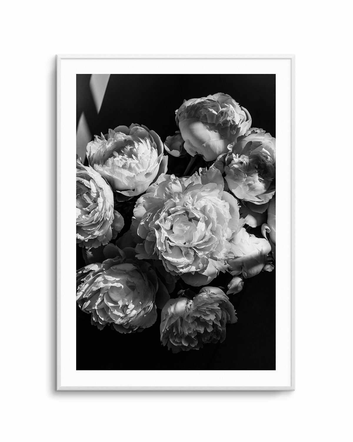 Roses I by Jovani Demetrie Art Print