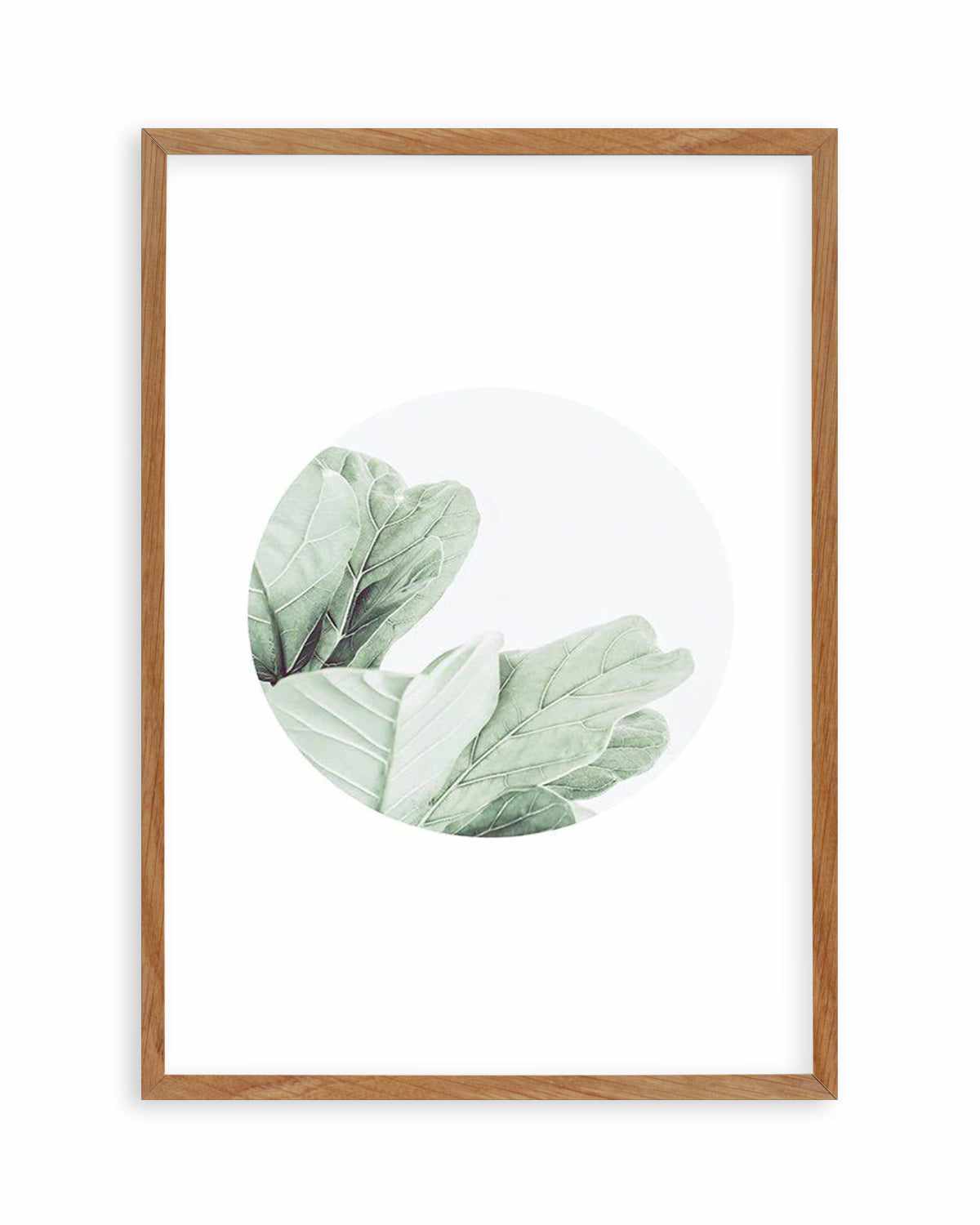 Round Fig Art Print