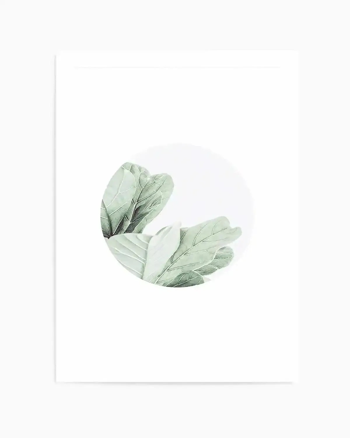 Round Fig Art Print from Olive et Oriel where you can shop wallpaper and artworks online
