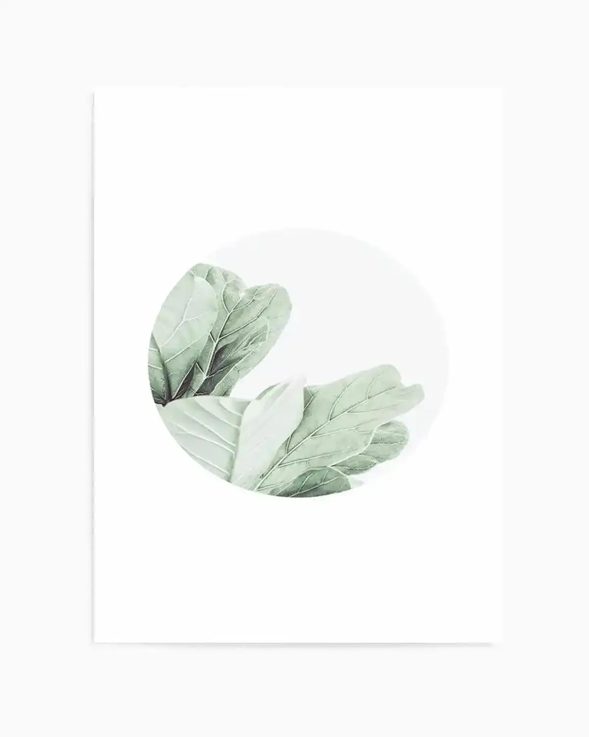 Round Fig Art Print from Olive et Oriel where you can shop wallpaper and artworks online