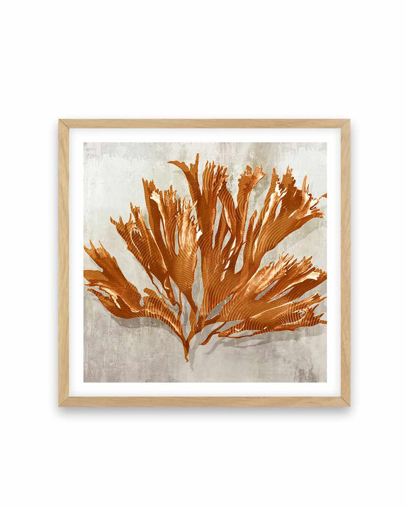 Rustic Coral I Art Print