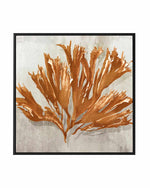 Rustic Coral I | Framed Canvas Art Print