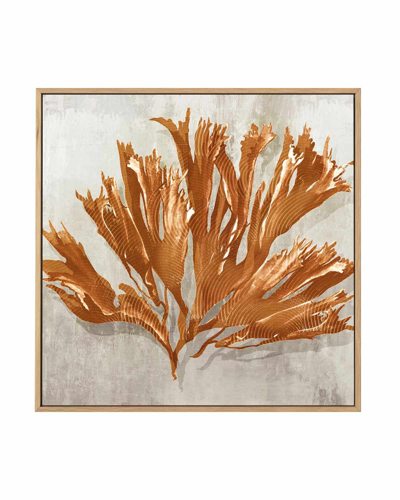 Rustic Coral I | Framed Canvas Art Print