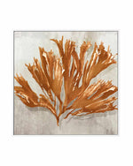 Rustic Coral I | Framed Canvas Art Print