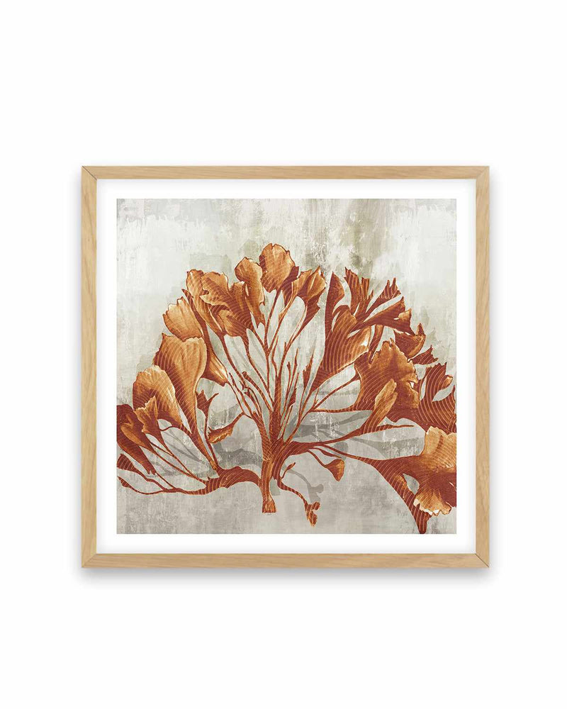 Rustic Coral II Art Print