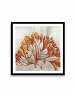 Rustic Coral II Art Print