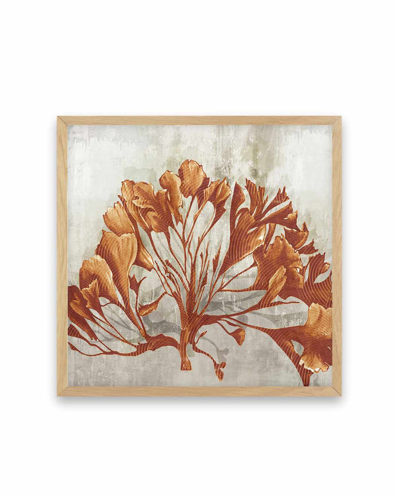 Rustic Coral II Art Print