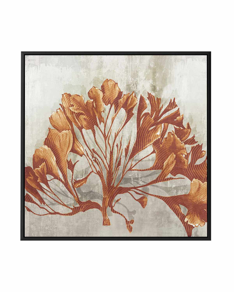 Rustic Coral II | Framed Canvas Art Print