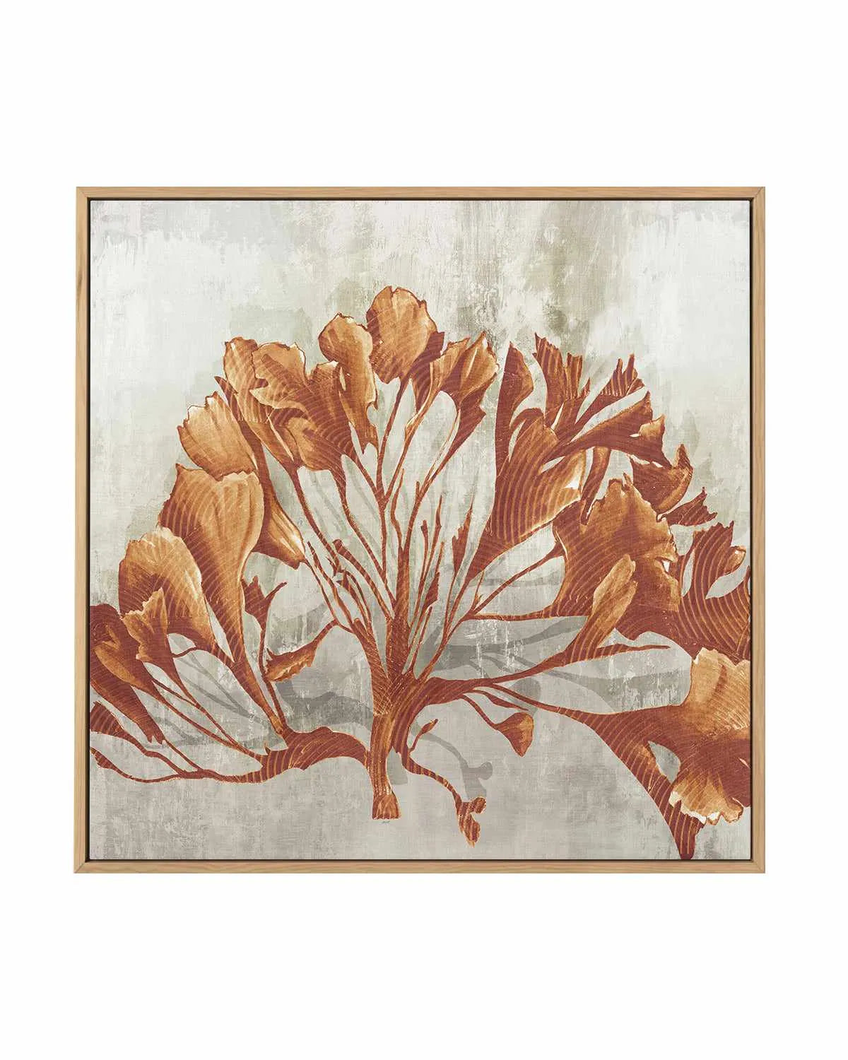 Rustic Coral II | Framed Canvas Art Print from Olive et Oriel where you can shop wallpaper and artworks online