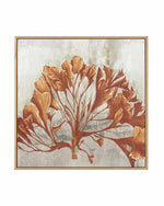 Rustic Coral II | Framed Canvas Art Print