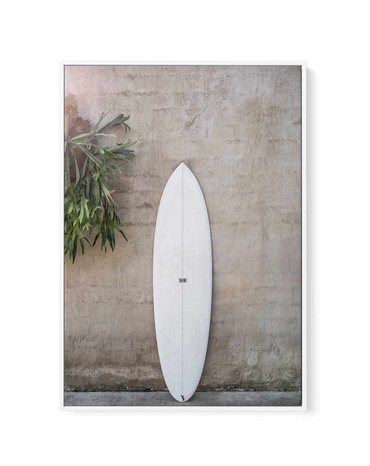 Safari Twinfin By Clint | Framed Canvas Art Print