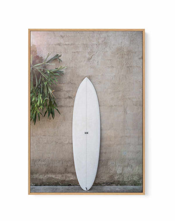 Safari Twinfin By Clint | Framed Canvas Art Print from Olive et Oriel where you can shop wallpaper and artworks online