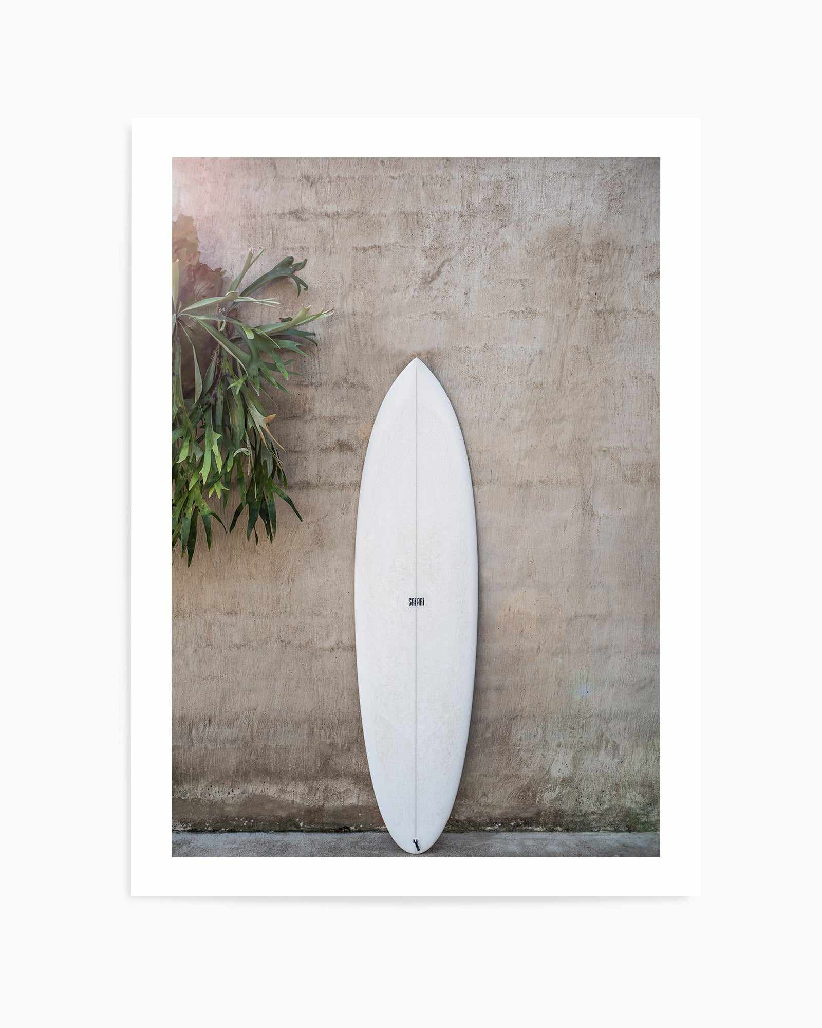 Safari Twinfin By Clint  | Art Print