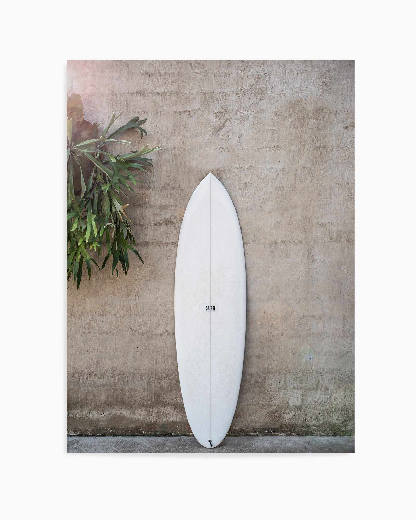 Safari Twinfin By Clint  | Art Print