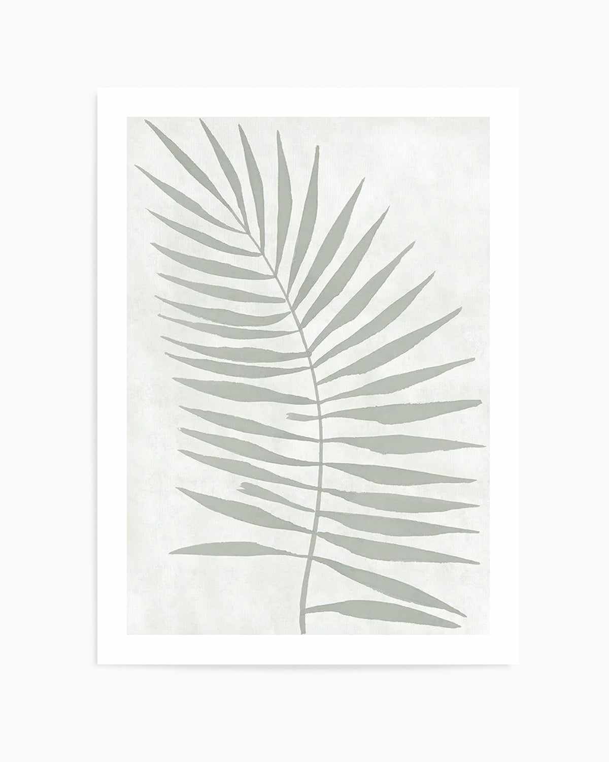 Sage Leaf II Art Print